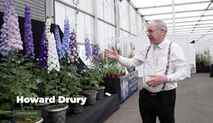 Howard Drury in Floral Marquee at BBC Gardeners' World Live 2025